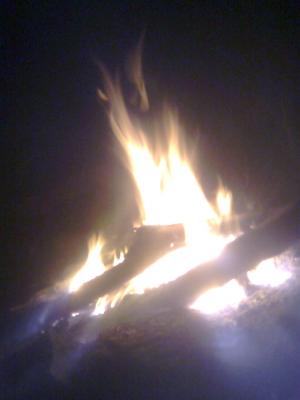 Прикрепленное изображение: Фото0430.jpg